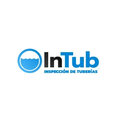 intub.cl's icon