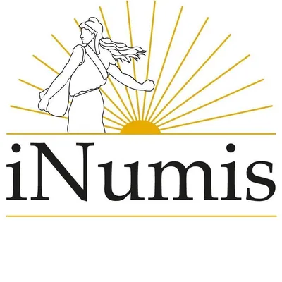 inumis.com's icon