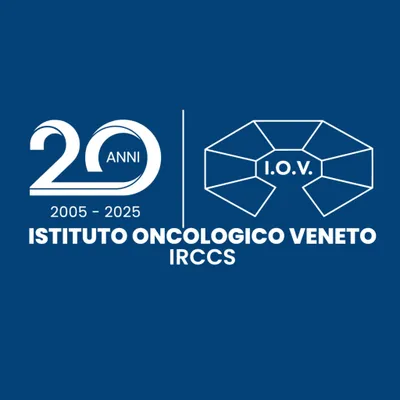 ioveneto.it's icon