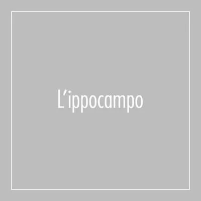 ippocampoedizioni.it's icon