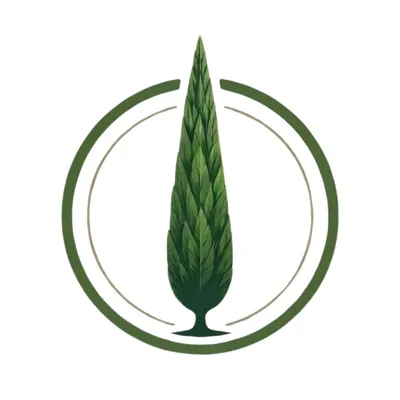 iranikoo.com's icon