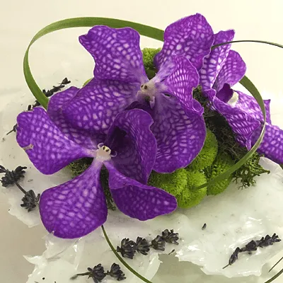 isisflor.com's icon