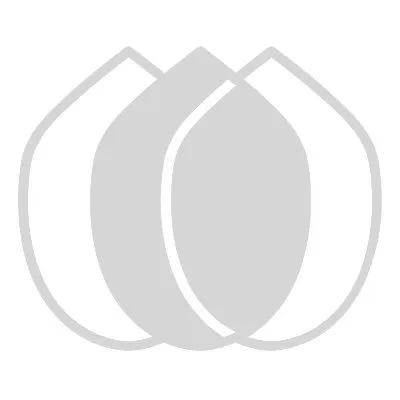 isrf.org's icon