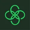 itscraft.com's icon