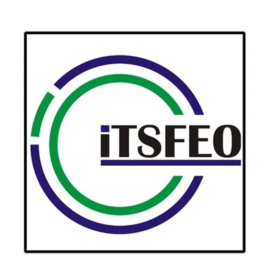 itsfeo.com's icon