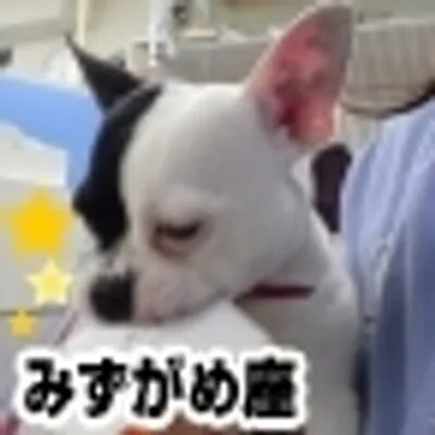 iwakura-ah.com's icon