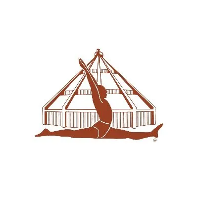 iyengaryoga.org.uk's icon