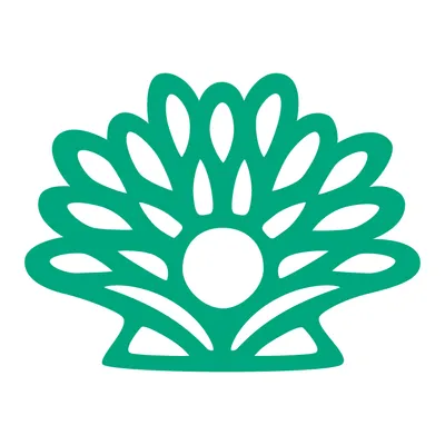 izcali.com.uy's icon