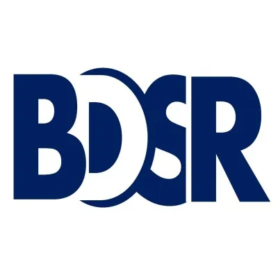 jbdsr.com's icon