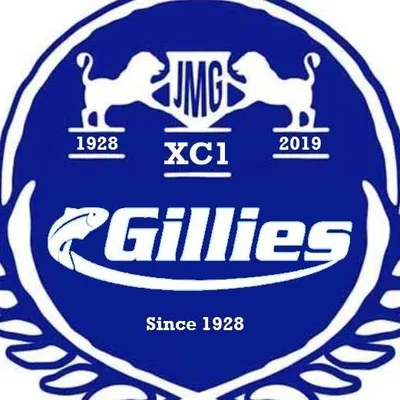 jmgillies.com.au's icon