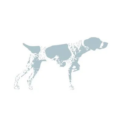 johncainphotography.com's icon