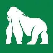 journaldebrazza.com's icon