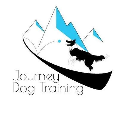 journeydogtraining.com's icon