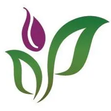 joyfulcompanions.com's icon