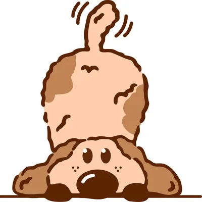 joyvet.ro's icon