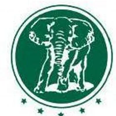 jumbowood.nl's icon
