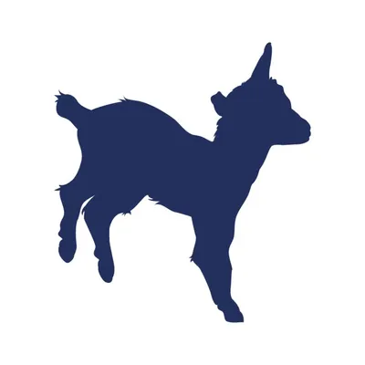 kabritaarabia.com's icon