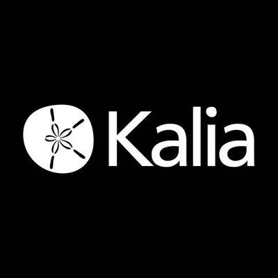 kaliastyle.com's icon