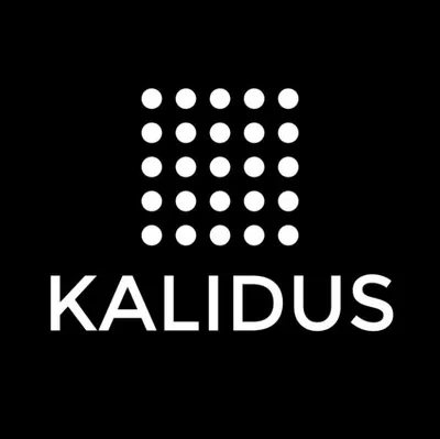 kalidus.com's icon