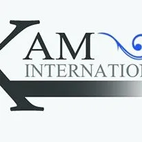 kam-int.com's icon