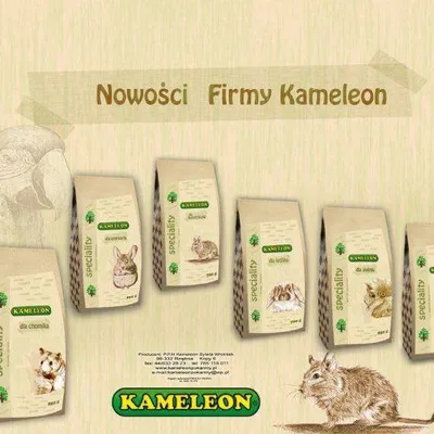 kameleonpokarmy.pl's icon