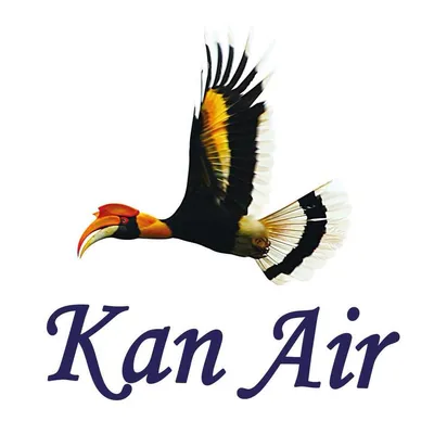 kanairlines.com's icon