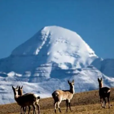 karnaliexcursions.com's icon