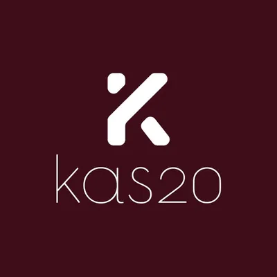 kas20.nl's icon