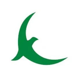 kasherltd.com's icon