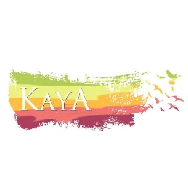 kayarehab.com's icon