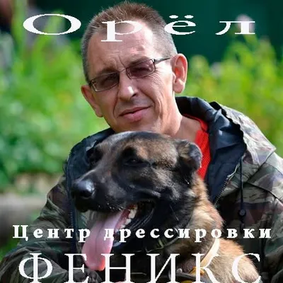 kc-fenix.ru's icon