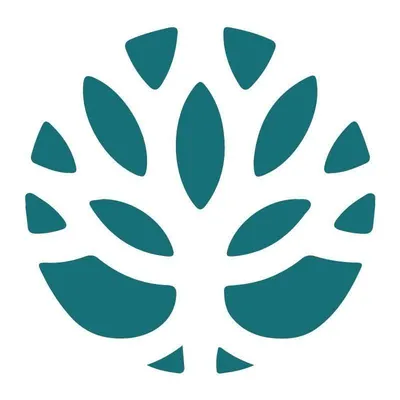 kemi.com.py's icon