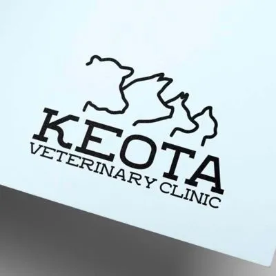 keotavetclinic.com's icon