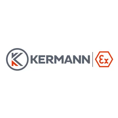 kermann-ex.com's icon
