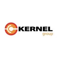 kernel-group.com's icon