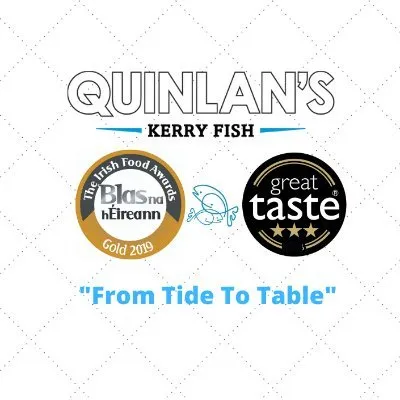 kerryfish.com's icon