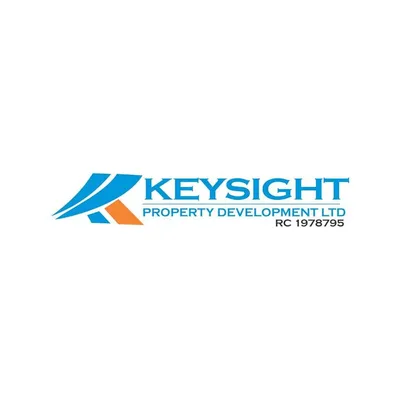 keysight.ng's icon