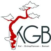 kgbberlin.de's icon