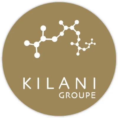 kilanigroupe.com's icon