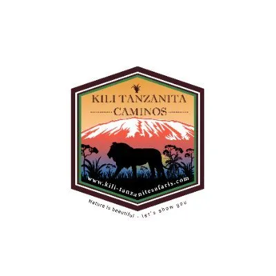 kili-tanzanitesafaris.com's icon