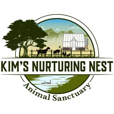 kimsnurturingnest.org's icon