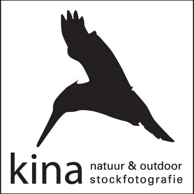 kina.nl's icon