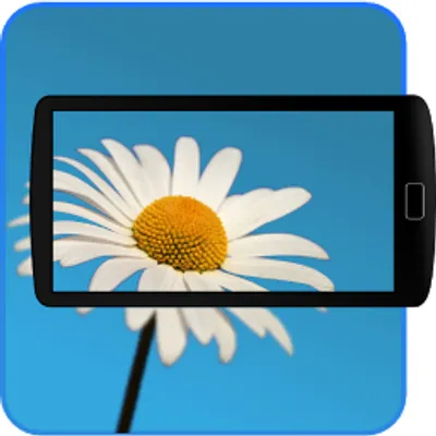 kindwise.com's icon