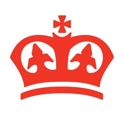 kinggee.com's icon