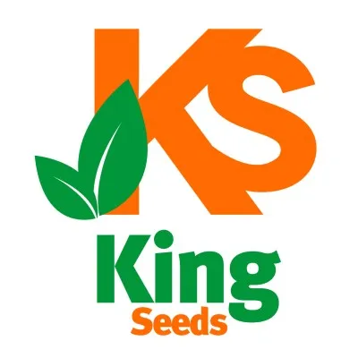 kingseeds.com.mx's icon