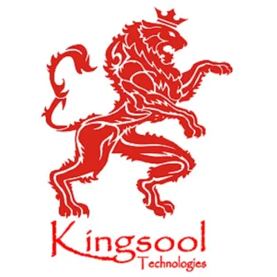kingsool.com's icon