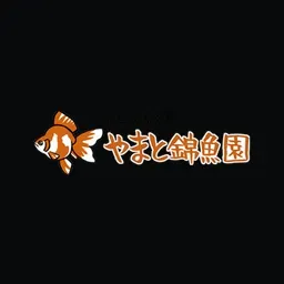 kingyoen.com's icon
