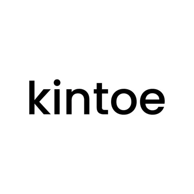 kintoe.com's icon