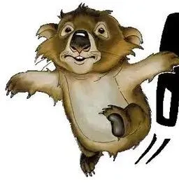 kitawombat.ch's icon