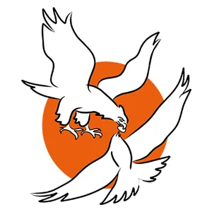 kitewebstudio.com's icon